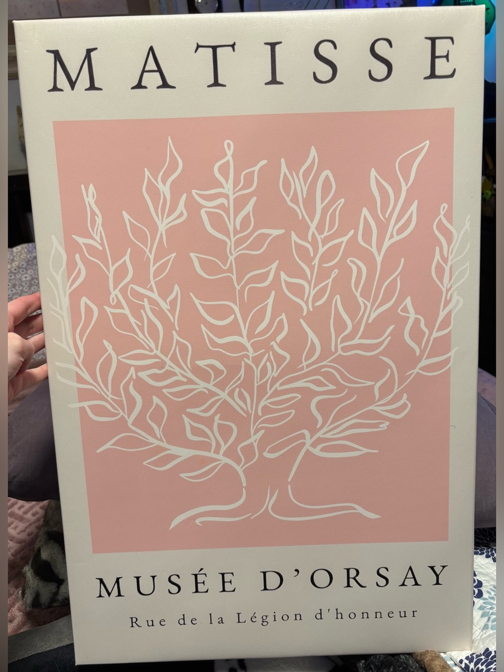 Matisse Pink & White Tree Of Life Canvas Print Wall Art 16x24 Boho Minimalist